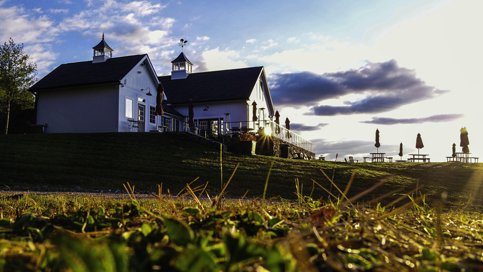 milea_estate_vineyard.png