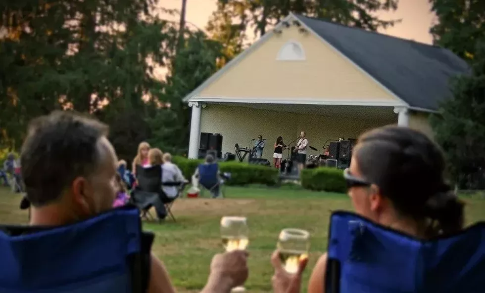 mag_concert_image_for_dutchess_tourism_website_3-2021.webp
