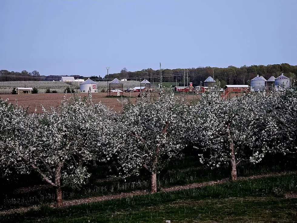 Minard's Family Farm Grand Re-opening May 31st, 5PM-9PM Featuring Probable Cause Band