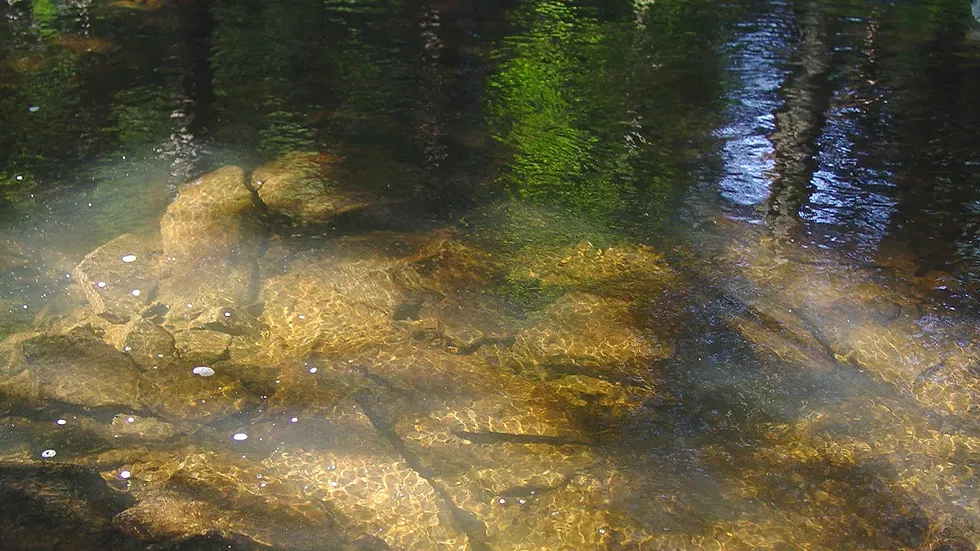 stream-clear-water.webp