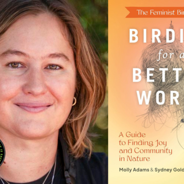 Molly Adams. BIRDING FOR A BETTER WORLD: A Guide to Finding Joy and Community in Nature