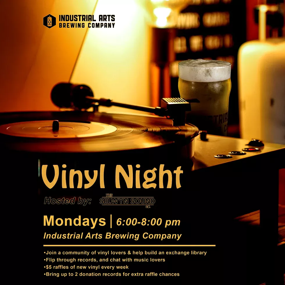 vinylnight_1775237689809.webp