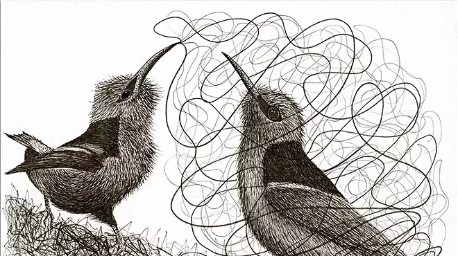 Image: Morgan Burns: "Plumage and Portals"