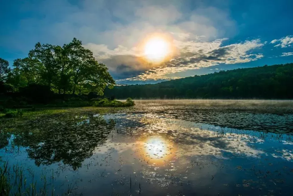 morning_light.webp