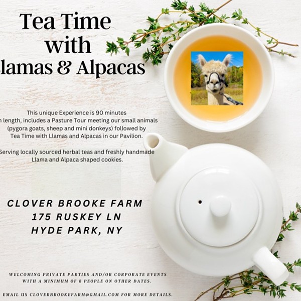 Mothers Day Tea with Alpacas