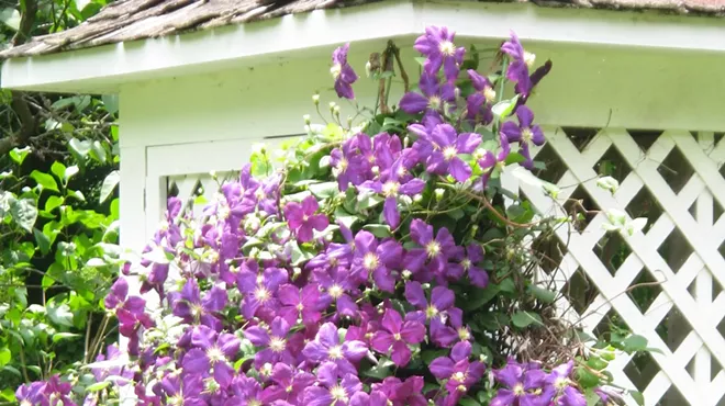 Image: Mount Gulian Great Estates Garden Tours