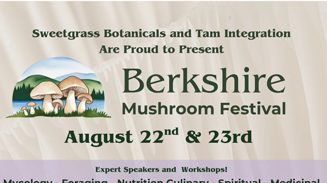 Image: Mushroom Festival