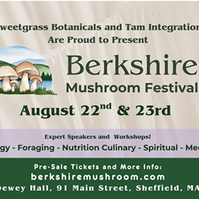 Image: Mushroom Festival