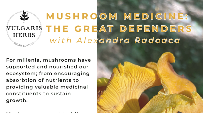 Image: Mushroom Medicine: The Great Defenders