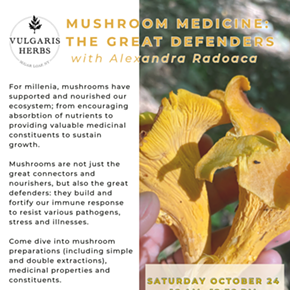 Image: Mushroom Medicine: The Great Defenders