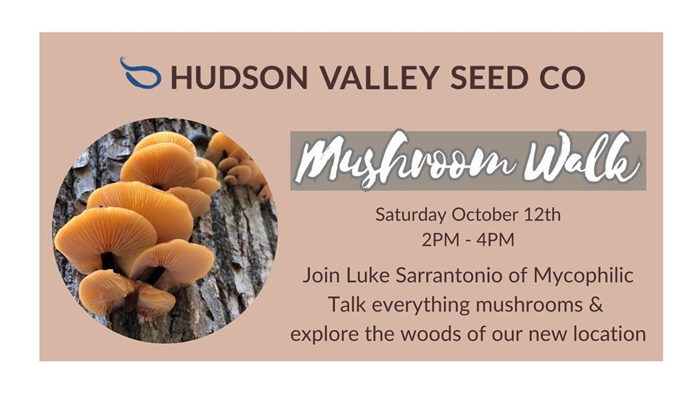 Learn about local Mushrooms