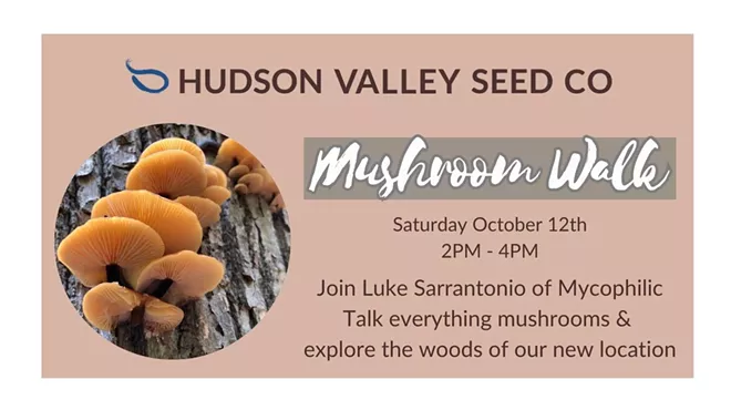Image: Mushroom Walk with Mycophilic