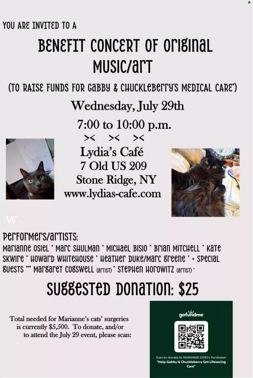 gabby_chuckleberry_fundraiser_poster3.webp