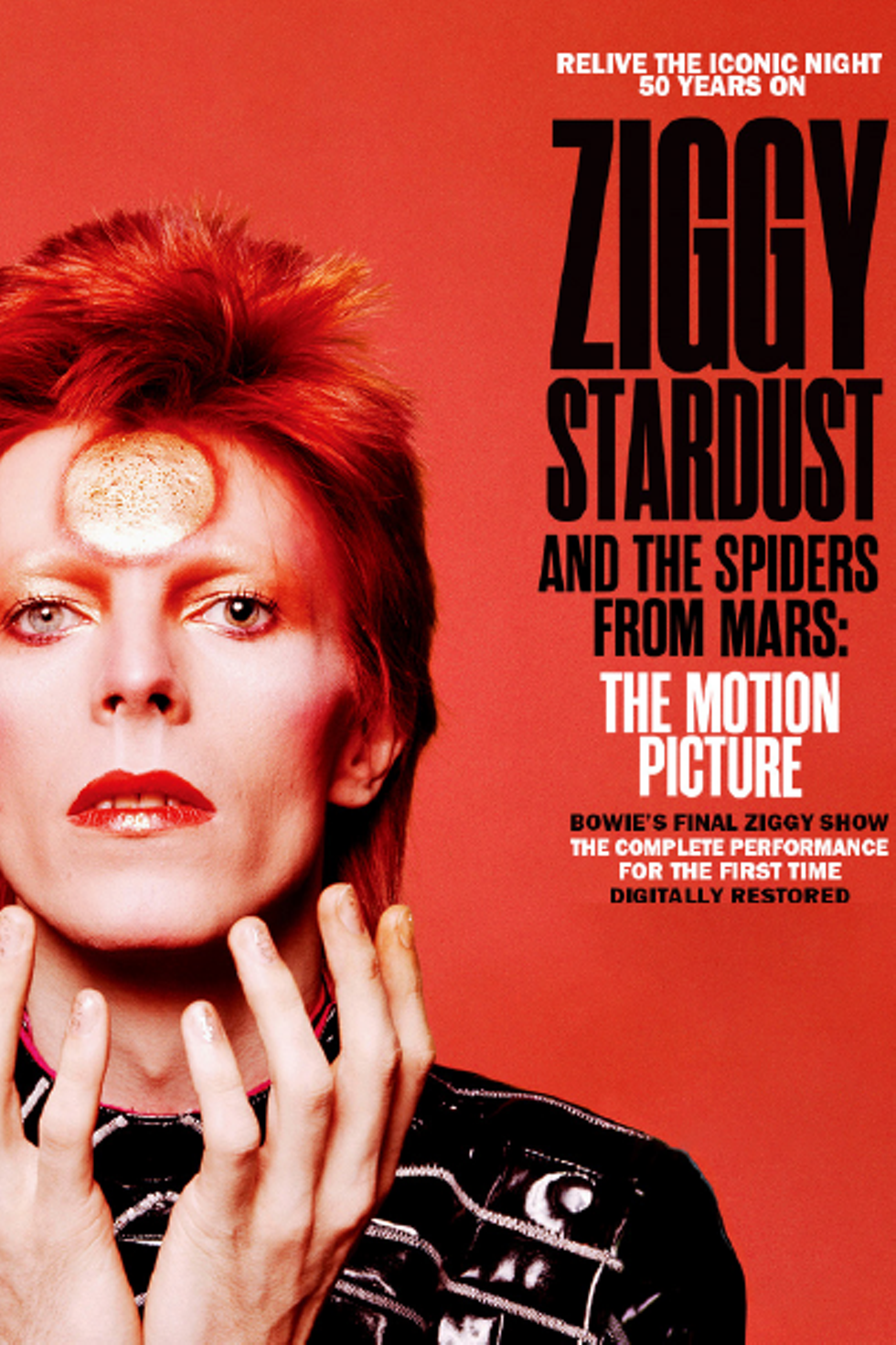 ziggy-400x600.png