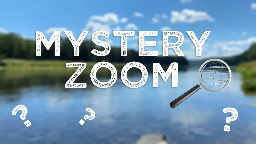 mystery-zoom.webp