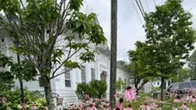 Image: Native Plant Tour and Sale