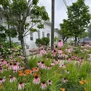 Image: Native Plant Tour and Sale
