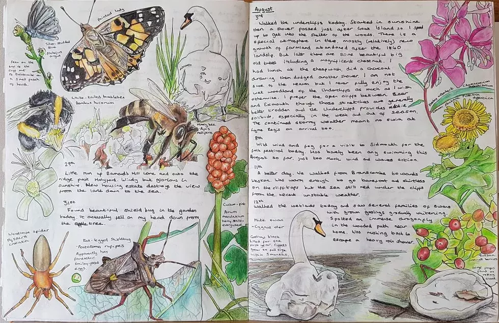 nature_journaling.webp