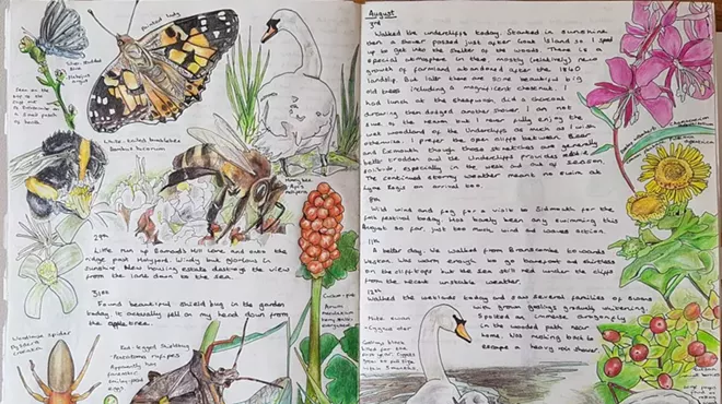 Image: Nature Journaling Workshop