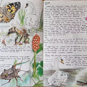 Image: Nature Journaling Workshop