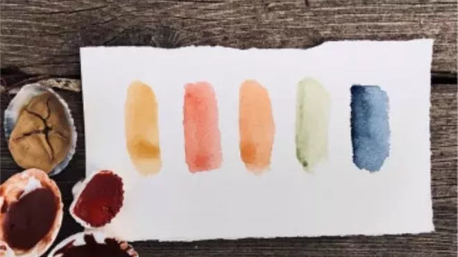 Image: Nature's Palette