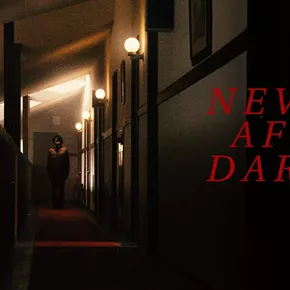 Image: Never After Dark