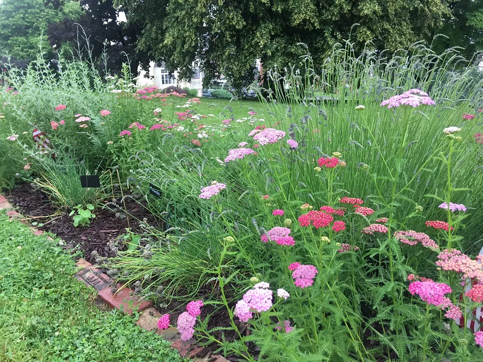 Newburgh Historical Society Garden Tour