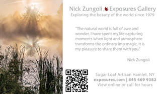 Image: Nick Zungoli Exposures Gallery