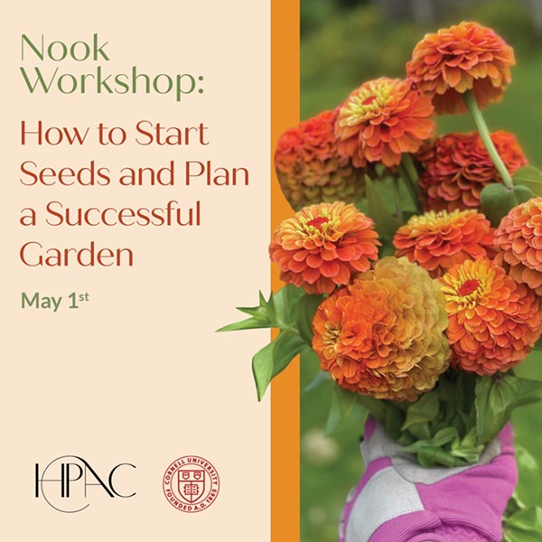 Nook Workshop: How to Start Seeds and Plan a Successful Garden