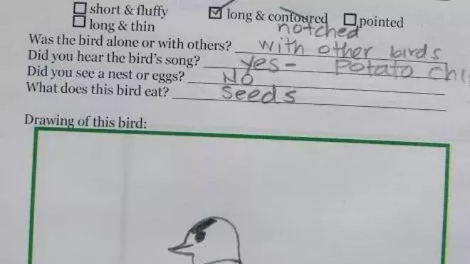 Image: Observations of Place with Nature Journaling!