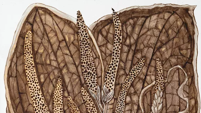Image: On this Fresh Morning - new drawings by Margot Glass