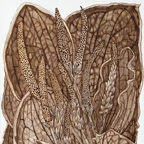 Image: On this Fresh Morning - new drawings by Margot Glass