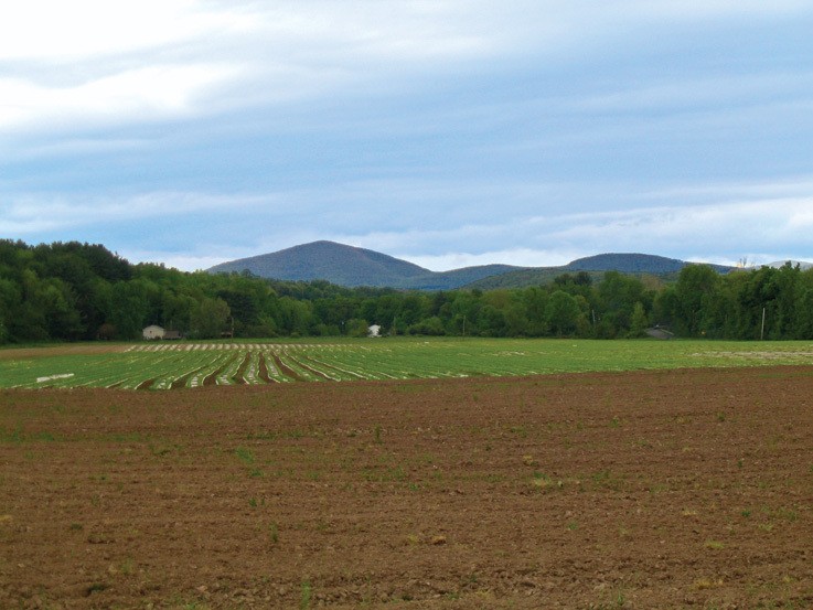 Rondout Valley Growers Association
