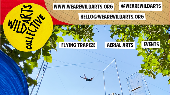 Image: Open Level Flying Trapeze Class