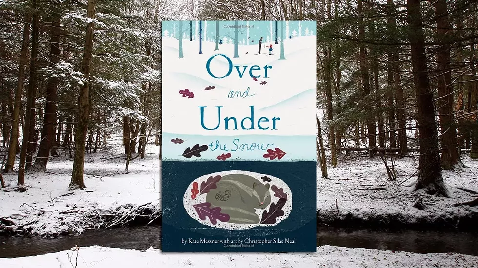 over-under-snow-event.webp