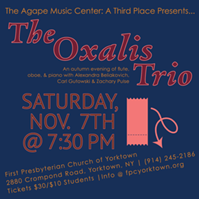 Image: Oxalis Trio