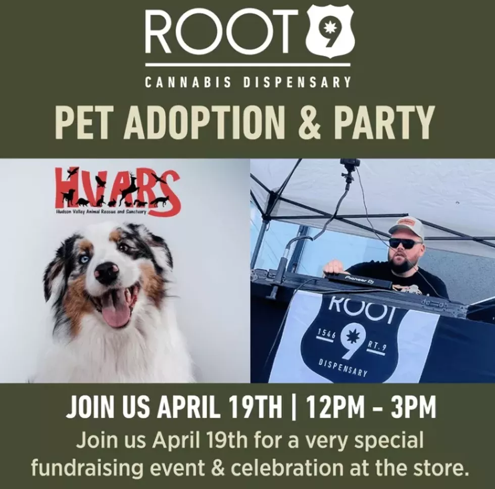 Pet Adoption & Party - April 19th, 12pm-3pm