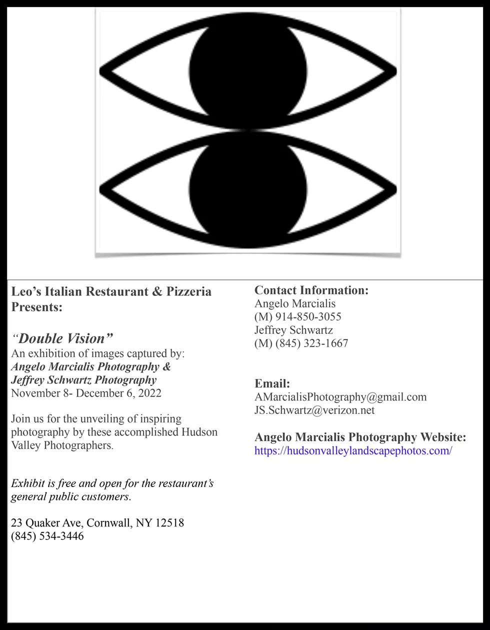 leo_s_flyer_double_vision.webp