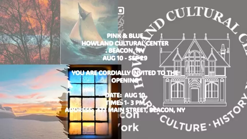 Pink & Blue Art Show at Howland Cultural Center