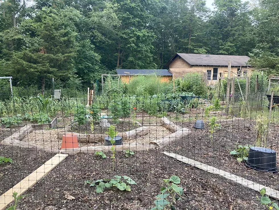 garden_at_friendly_circle-2.webp