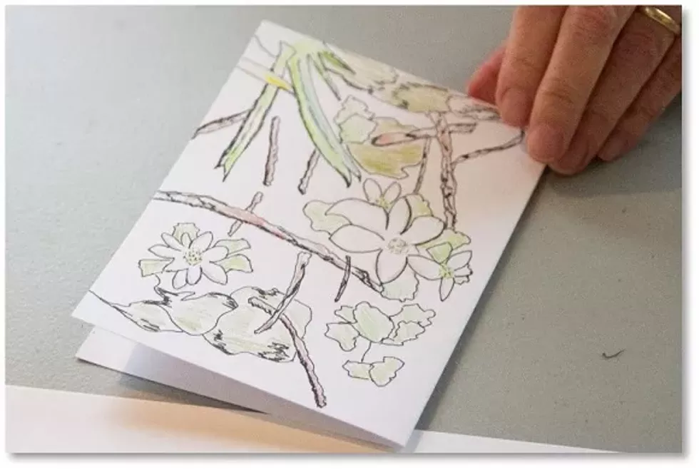 olana_-_card_or_journal.webp