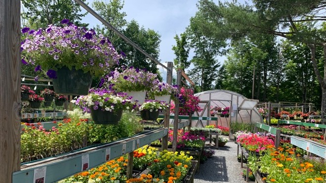 Plant Paradise: This Picturesque Nursery in Jewett is Worth a Trip