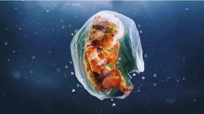 Image: Plastic People: The Hidden Crisis of Microplastics 