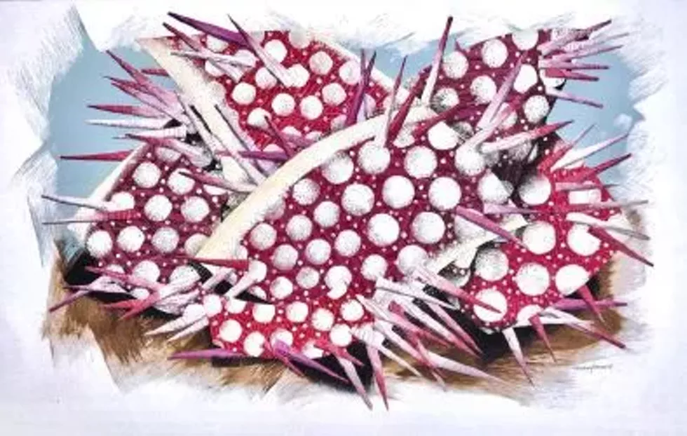Scotland: Urchin, paste-paint (papier-colle)