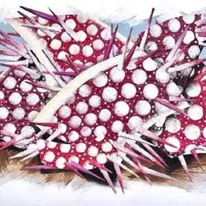 Image: Polly M. Law/Travis Jeffrey: Obsessions with Parts & Pieces