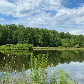 Image: Pond Investigation with the HABLAB