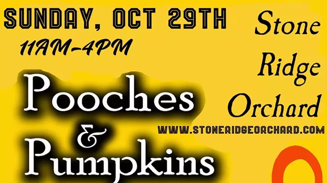Image: Pooches & Pumpkins