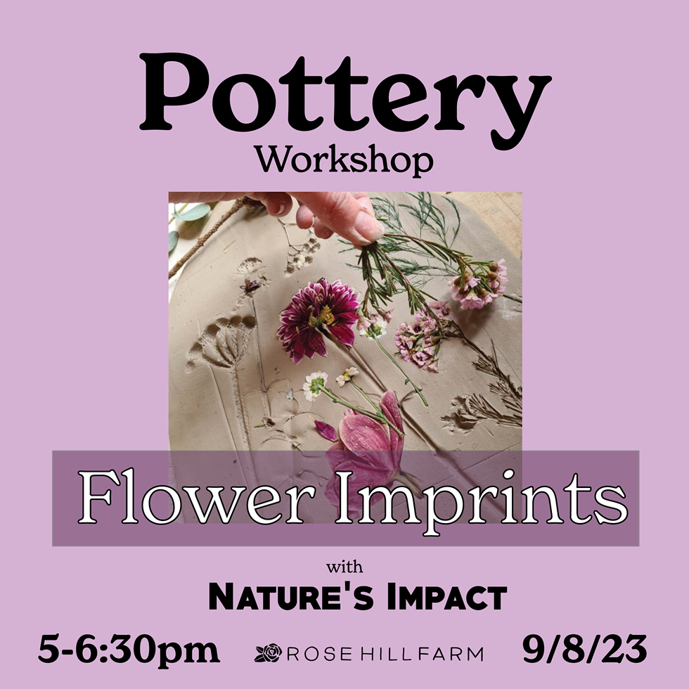 Pottery Workshop