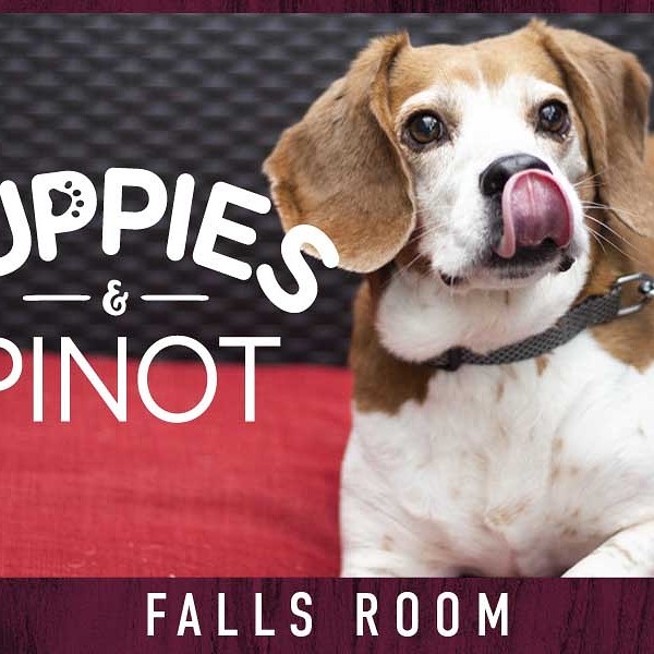 PUPPIES & PINOT IN SUPPORT OF PETS ALIVE!