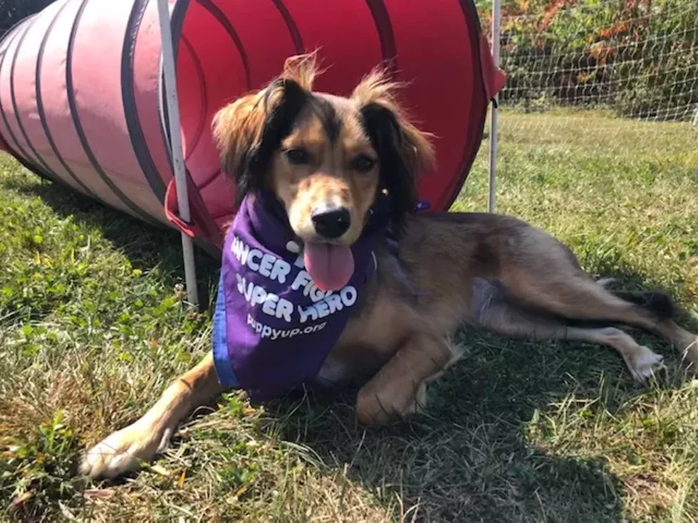 Charlotte, Cancer Hero